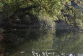경산 반곡지